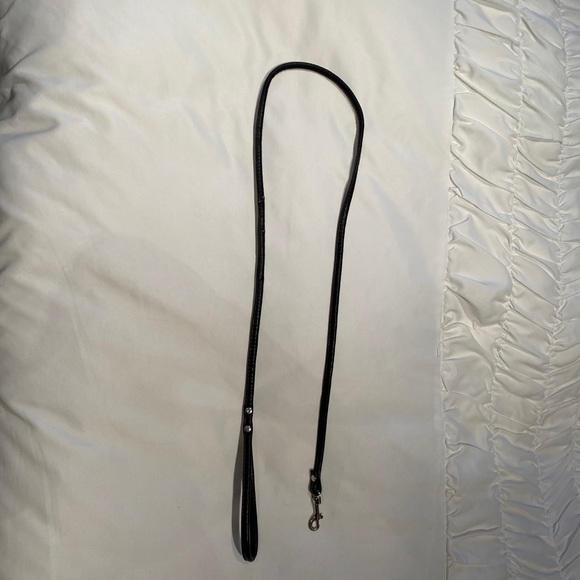 Dog Leash - Picture 2 of 5